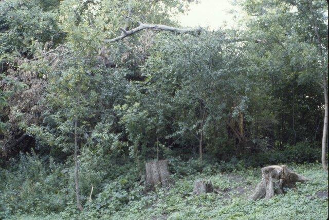 0107 Homeowners' Easement Cleanup 1981-97