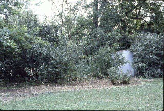 0108 Homeowners' Easement Cleanup 1981-97