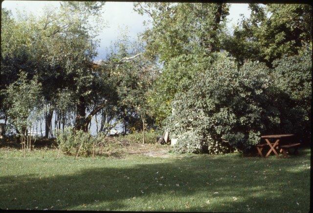 0202 Homeowners' Easement Cleanup 1981-97