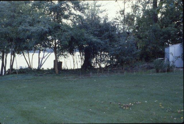 0203 Homeowners' Easement Cleanup 1981-97