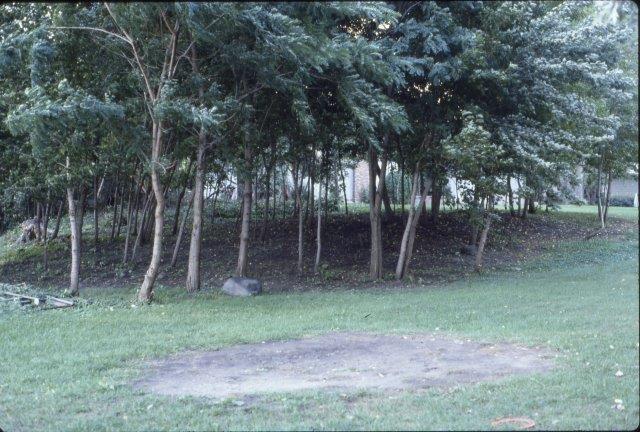 0204 Homeowners' Easement Cleanup 1981-97