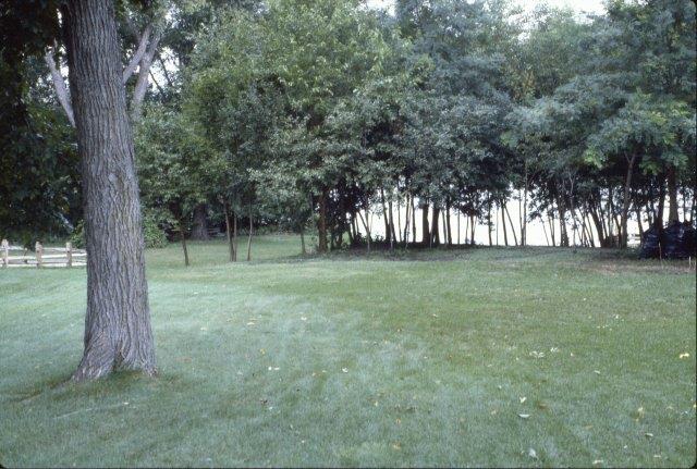 0205 Homeowners' Easement Cleanup 1981-97