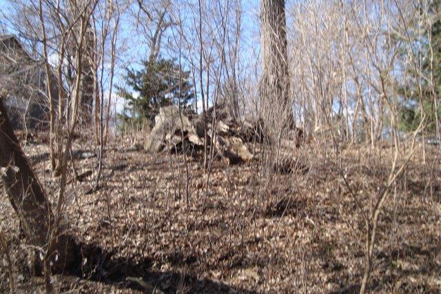 0304 Homeowners' Easement Cleanup 2018-19