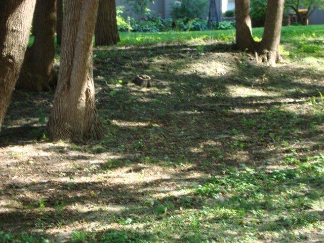 0407 Homeowners' Easement Cleanup 2018-19