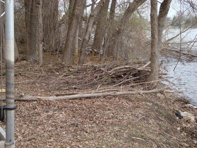 0602 Nature Preserve 2017-19