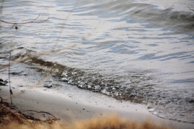 1201 Homeowners' Easement 